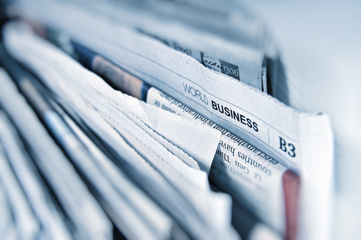 Organic social media growth strategy without paid advertising